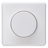 STANDARD DIMMER R 200W ARCTIC WIT