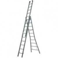 DIRKS DRIEDELIGE REFORMLADDER ONGECOAT 3X8 SPORT