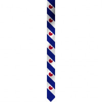 WIMPEL FRIESLAND 200 CM