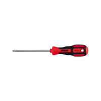 SCHROEVENDRAAIER TORX TX10 80MM 4TECX