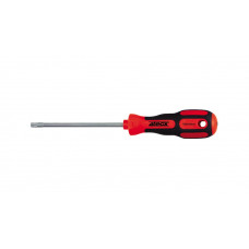 SCHROEVENDRAAIER TORX TX10 80MM 4TECX