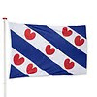 VLAG FRIESLAND 120X180