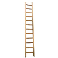 HOUTEN BOUWLADDER 12 SPORTEN 3,3M