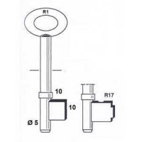 DOP KLAVIERSLEUTEL CARAVAN/BORST R17