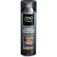 PRO-PAINT INDUSTRIE LAK/ DEKLAAG TRANSPARANT HG TRANSPARANT HG 500ML